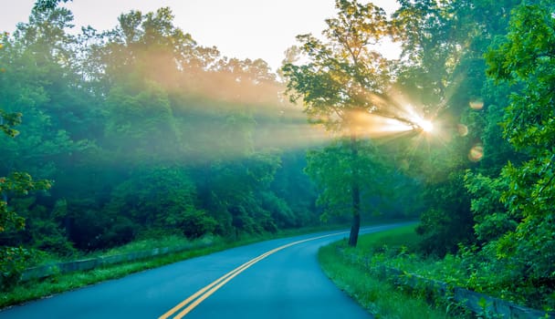 Road through forest with light beams and sun rays through green trees