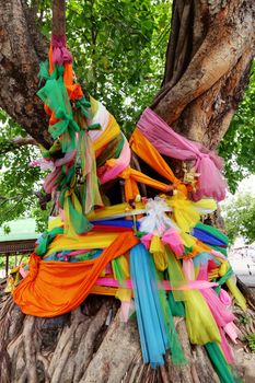 Big Bodhi Tree wrapped around with colors cloth
