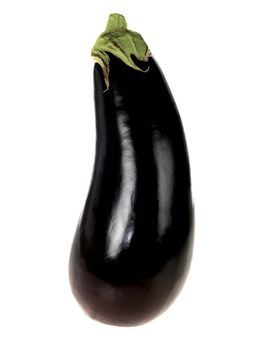 Aubergine