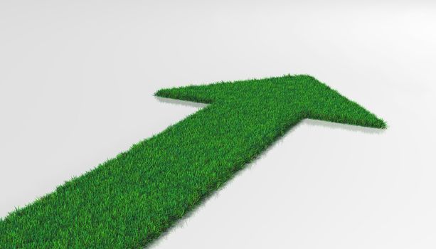 a carpet of grass on a white background ends with one arrow that indicates a forward direction