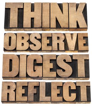 think, observe, digest, reflect - a set of motivational words  - isolated text in letterpress wood type