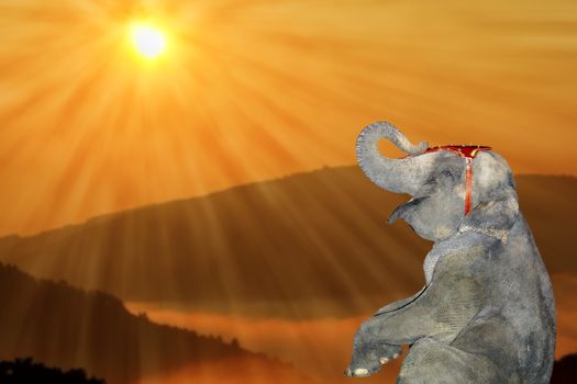 happy baby elephant enjoying the beautiful colors of sunset - concept