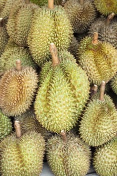 durian, king of fruit, famous fruit in Thailand