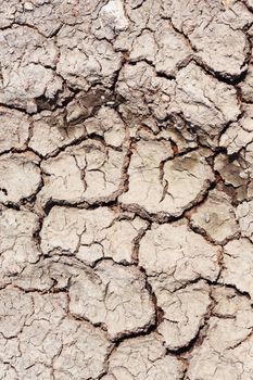 Dried and cracked soil land