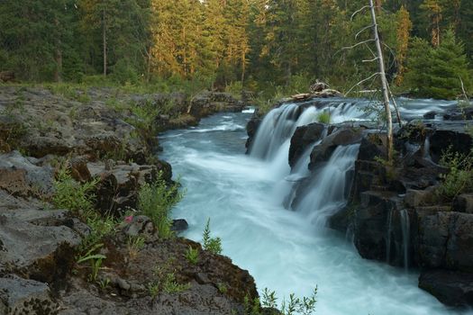 Forest Creek, Oregon, USA