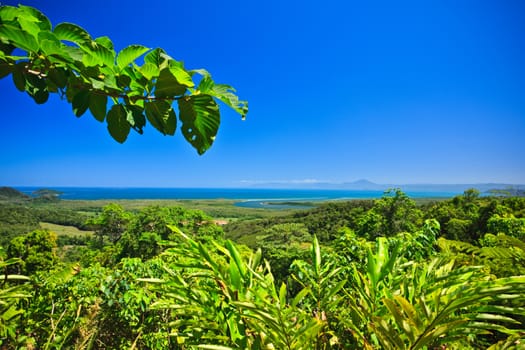 Beautiful nature with trees and beach over the blue sky