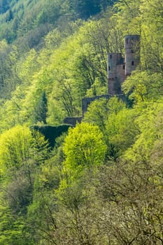 Ruins of ancient Schwalbennest castle on hillside outside Neckarsteinach on river Neckar in southern Germany