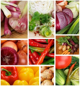 Collection of Various Raw Vegetables Backgrounds