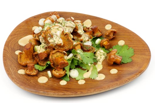 Delicious Roasted Edible Chanterelles with Cheese Sauce, Dill and Parsley on Wooden Plate isolated on white background
