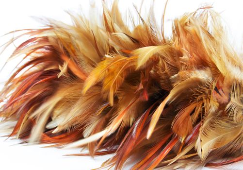 Dusting cleaner made from chicken feathers and dead
