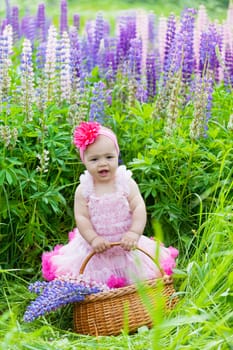 little girl with a basket among blossoming lupines