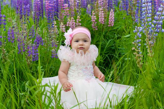 little girl in an elegant dress sits on a grass