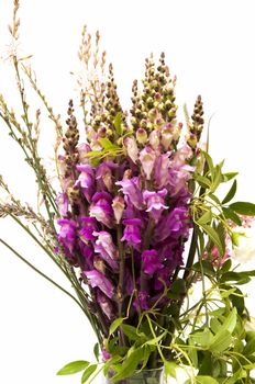 bouquet flowered on a white background