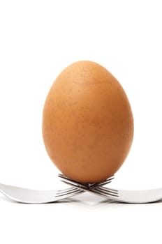 covered egg on a white background