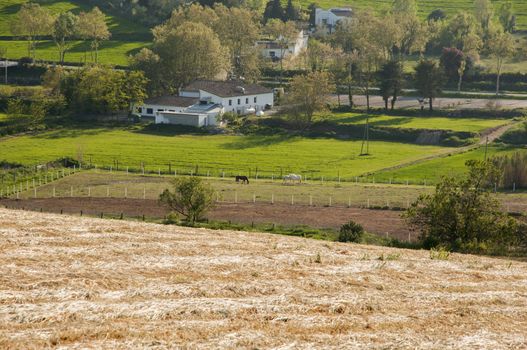 fields with horse stables and houses