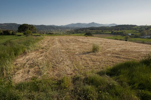 finished collecting dry field