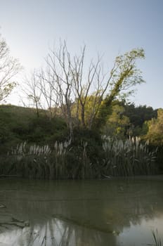 small lake in La Roca Del Valles