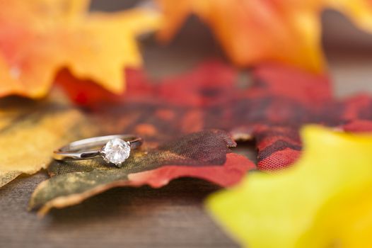 Diamond Engagement ring in festive autumn decoration