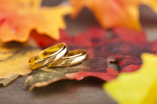 Wedding Engagement ring in festive autumn decoration
