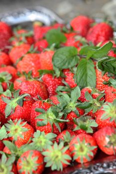 Close-up of juicy fresh strawberries on a silver tray