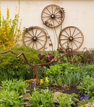 Three old wooden cart wheels fastened to wall by rural garden with rusting iron plow or plough among the flowers and plants