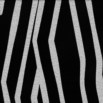 zebra texture