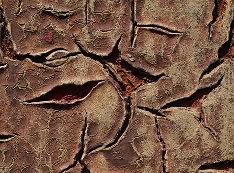 background or texture of brick red color cracks on the paint surface