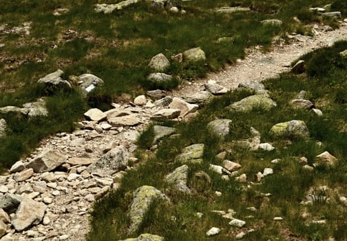 Tourist stone mountain walkway in the grass