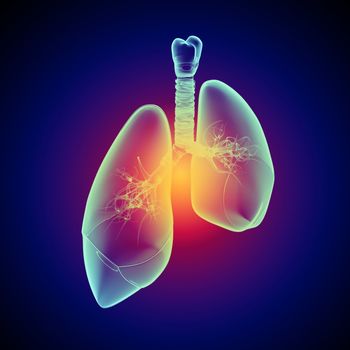 Schematic illustration of human lungs with the different elements on a colored background. Collage.