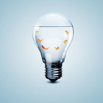 Gold fish in water inside an electric light bulb