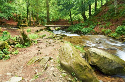 Wooden bridge over a mountain river in the forest