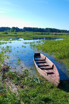 Boat in a high cane on the bank of lake