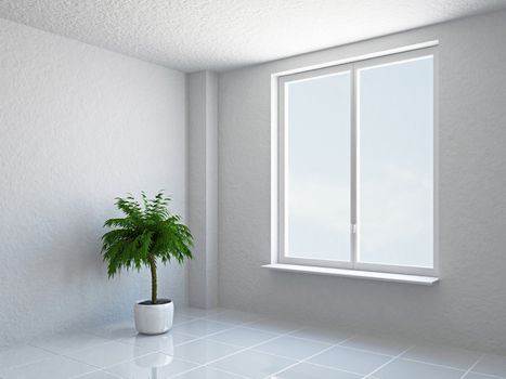 The empty room with plant and window