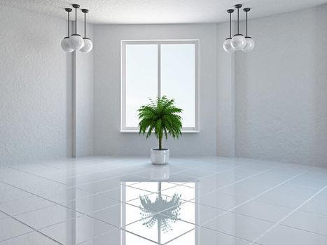 The empty room with plant and window