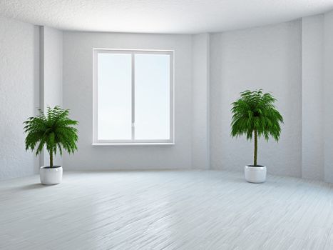 The empty room with plant and window