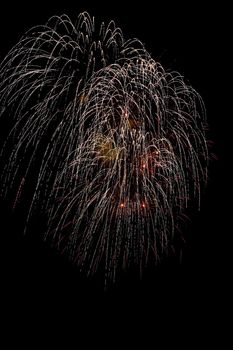 Colorful fireworks on the black sky background