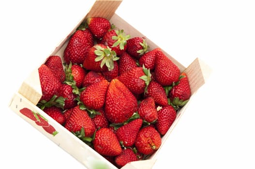 red strawberries on a white background