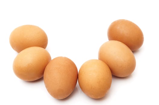 chicken eggs on a white background