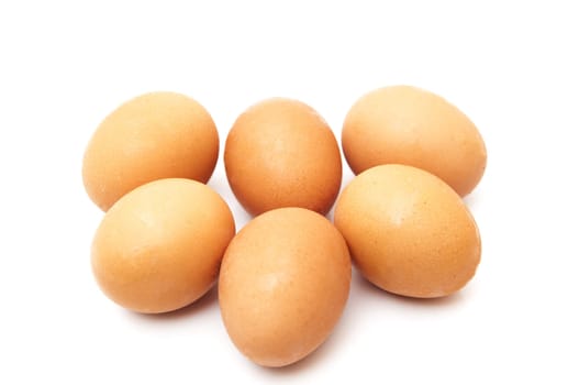 chicken eggs on a white background