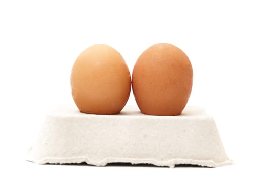 chicken eggs on a white background