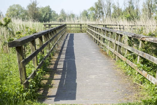 wooden bridge in nature park holland