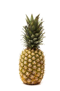 Big Pineapple on a white background