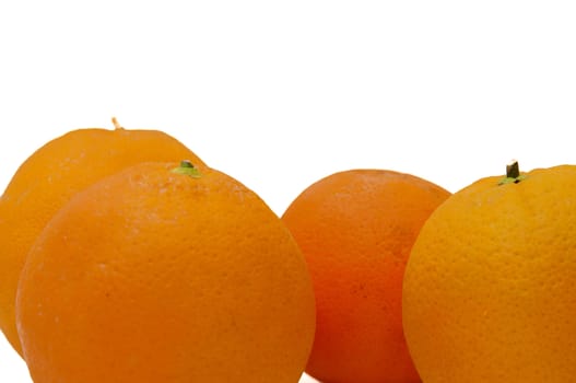 sweet oranges on a white background
