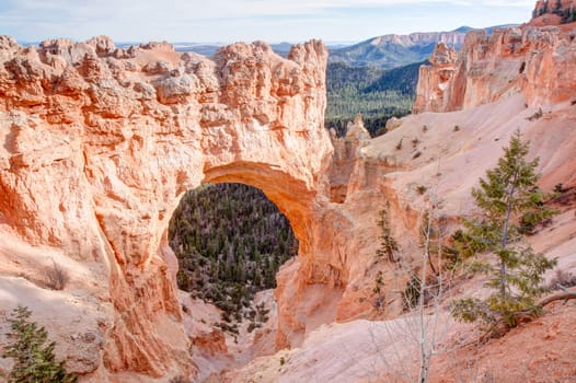 The Natural Bridge at Bryce Canyon, Utah is one of several arches in the park. It was formed in very red rock and contrasts nicely with the evergreen forest behind it.