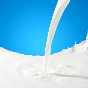 Pouring white milk splash on colour background