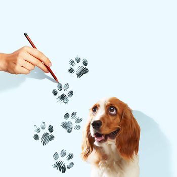 Image of funny spaniel with paw drawing