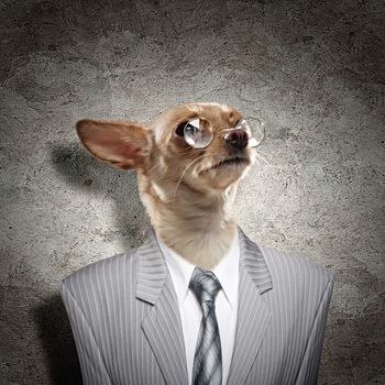 Funny portrait of a dog in the suit on an abstract background. Collage.