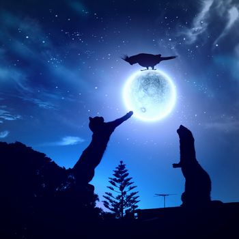 Silhouettes of animals in night sky with full moon