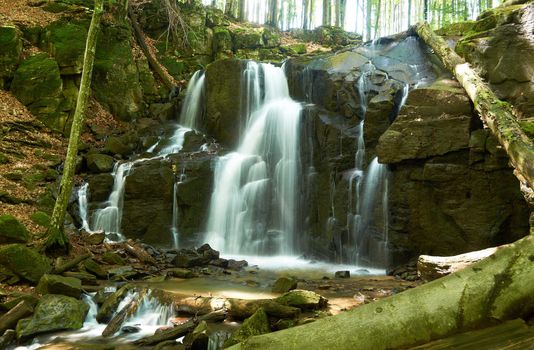 Waterfall falling from the cliffs in the wild forest