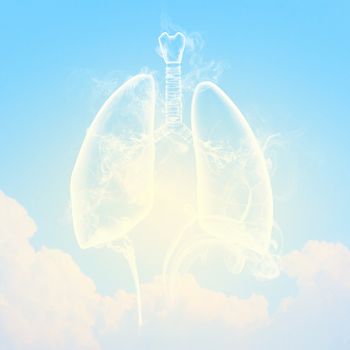 Schematic illustration of human lungs with the different elements on a colored background. Collage.